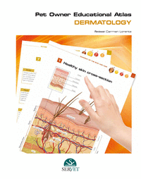 Dermatology. Pet owner educational atlas