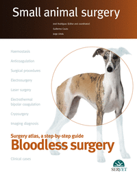 Bloodless surgery. small animal surgery