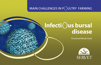 Main challenges in poultry farming.  infectious bursal disea
