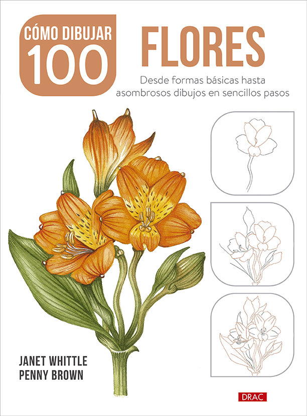 Como dibujar 100 flores