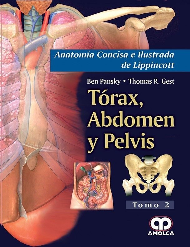 Torax, abdomen y pelvis.tomo ii (anatomia concisa e ilustrada de  lippincott) - Todo Libro