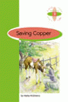Saving copper 1ºeso
