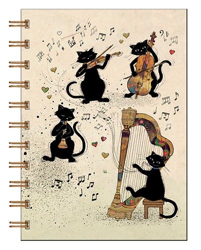 Cuaderno notas espiral a6 bug art gato musica