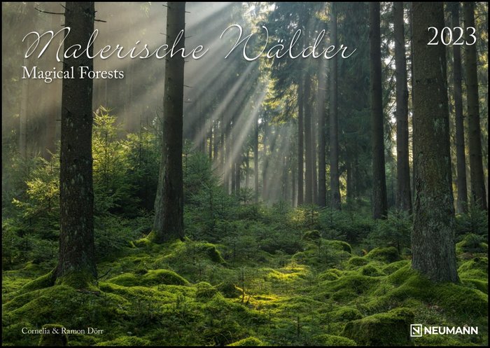 Calendario 2023  magical forests 42x29,7
