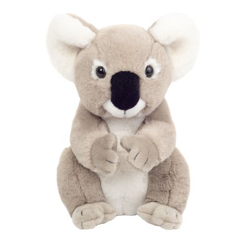 Peluche koala sentado 21 cm - Papelería Sambra