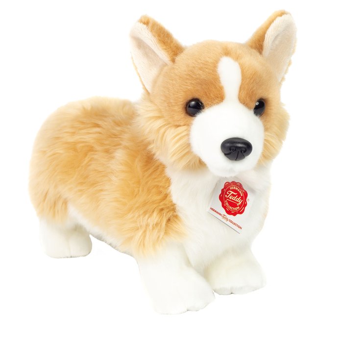 Corgi cheap de peluche