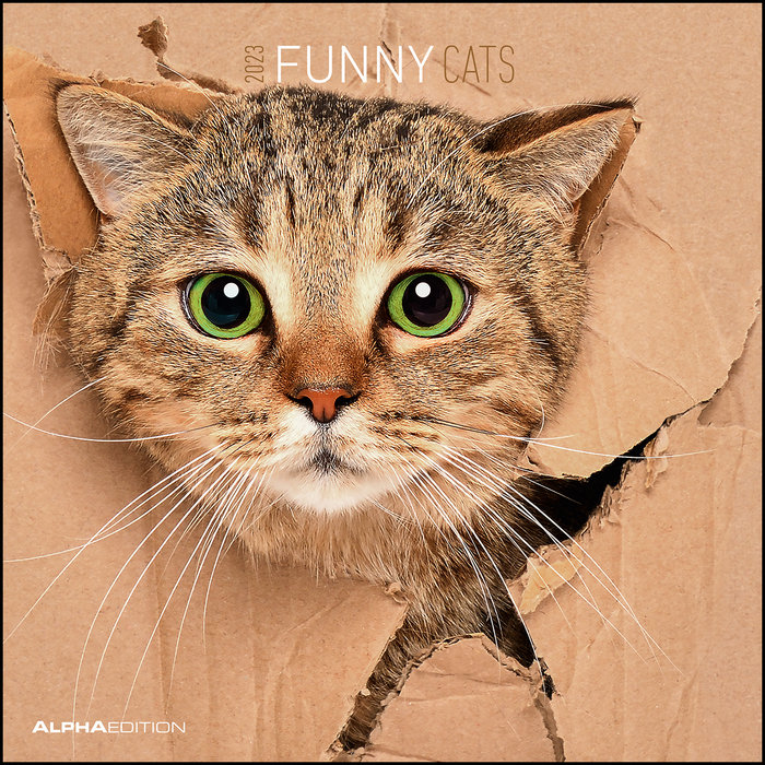 Calendario 2023 funny cats 30x30