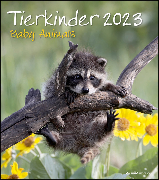 Calendario 2023 baby animals 30x34