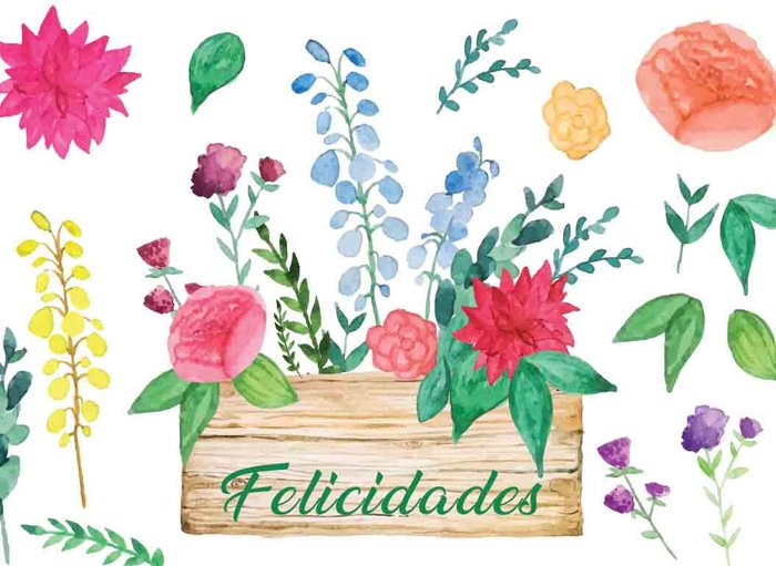 Mini card flores felicidades - Librería Papelería Cala