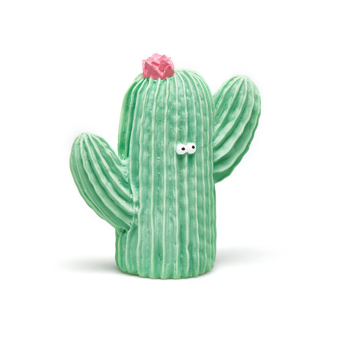 Mordedor organico cactus frijolito