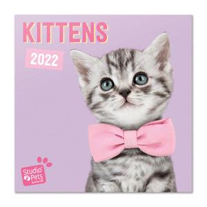Calendario 2022 30x30 studio pets kittens