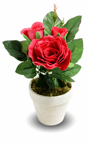 Rosas de jabon maceta rosa roja